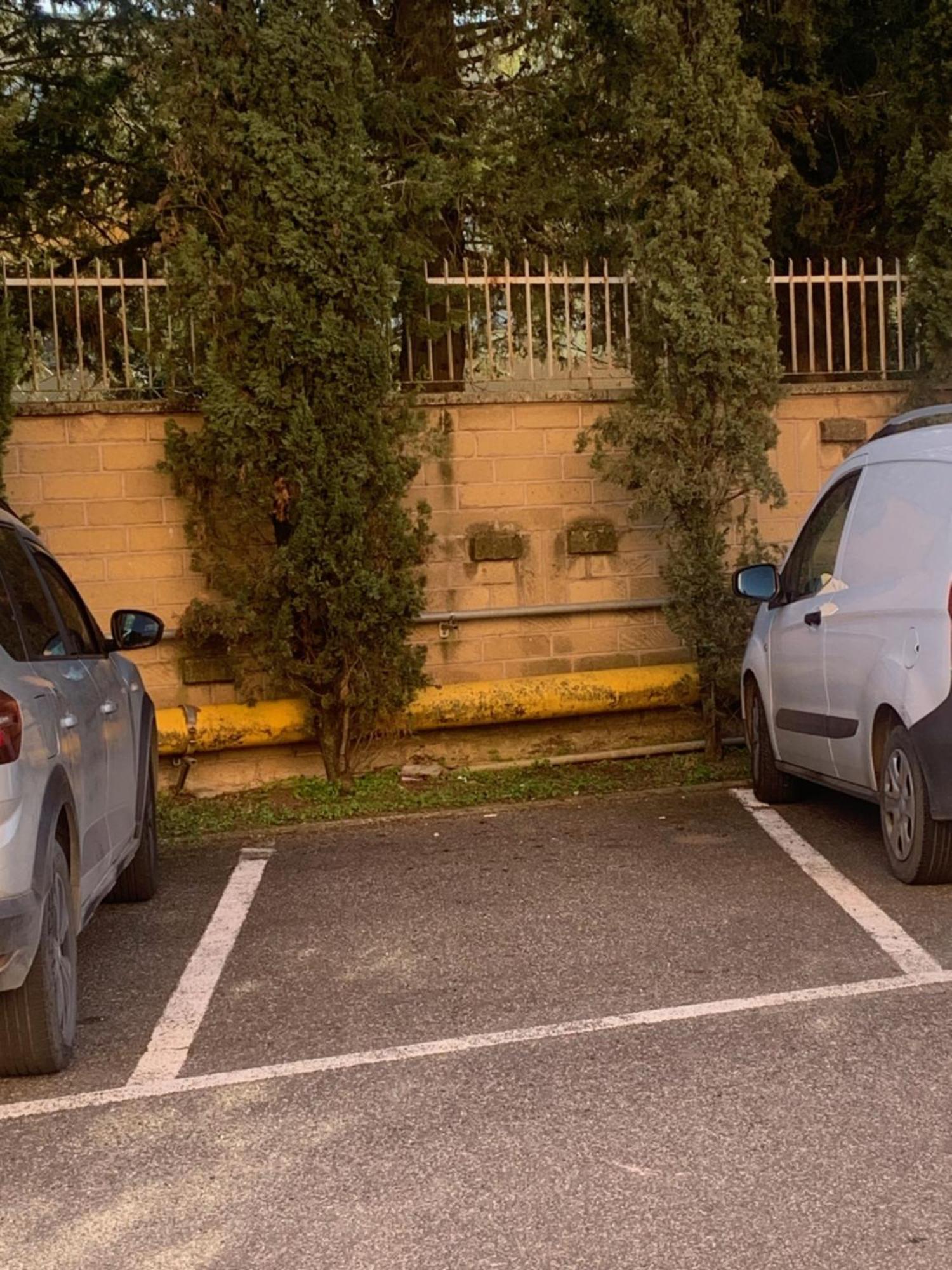 Vatican City Green Apartment Roma Exterior foto